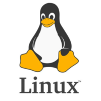 Administrator Linux. Professional-image
